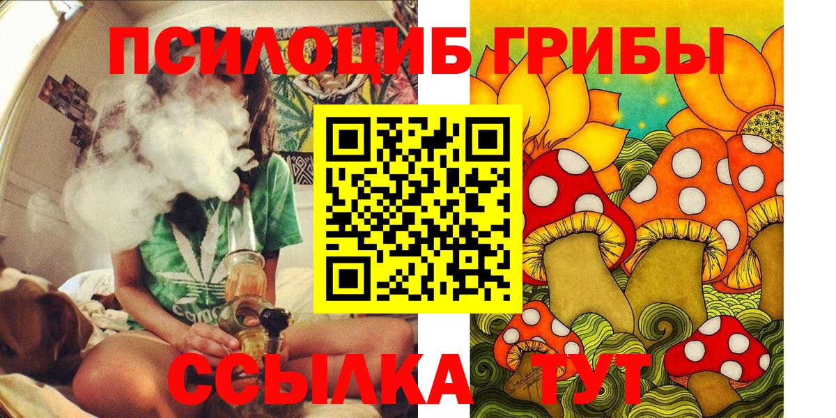 Галлюциногенные грибы Psilocybe Севастополь