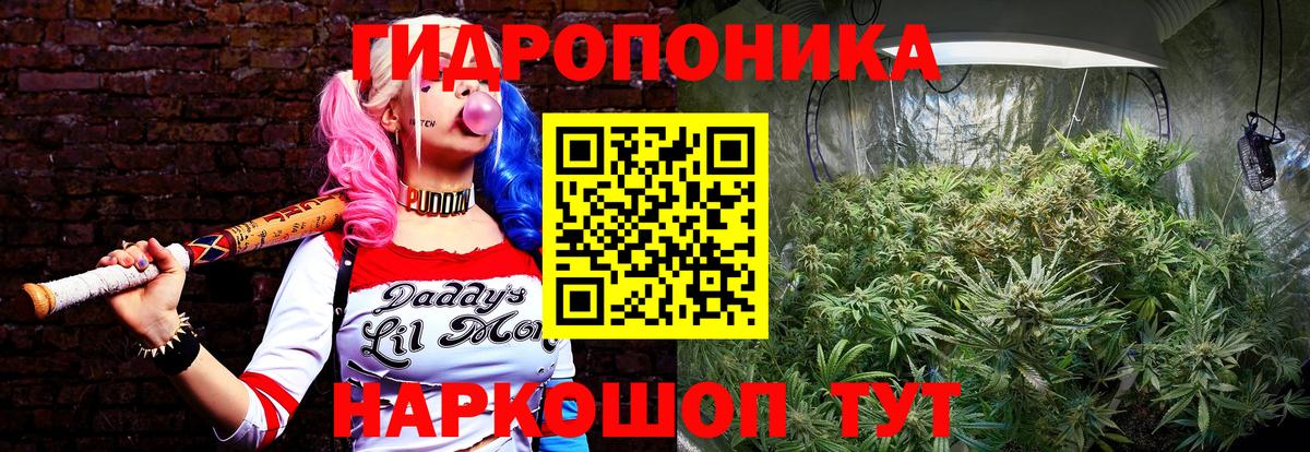 Бошки Шишки конопля Севастополь